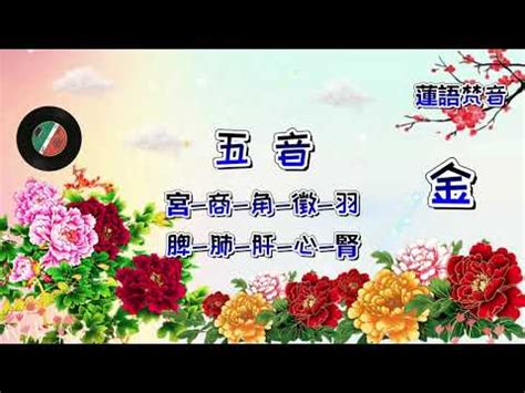 羽屬金|【羽屬金】一探「羽」字奧秘：揭開它究竟屬於金、木、水、火、。